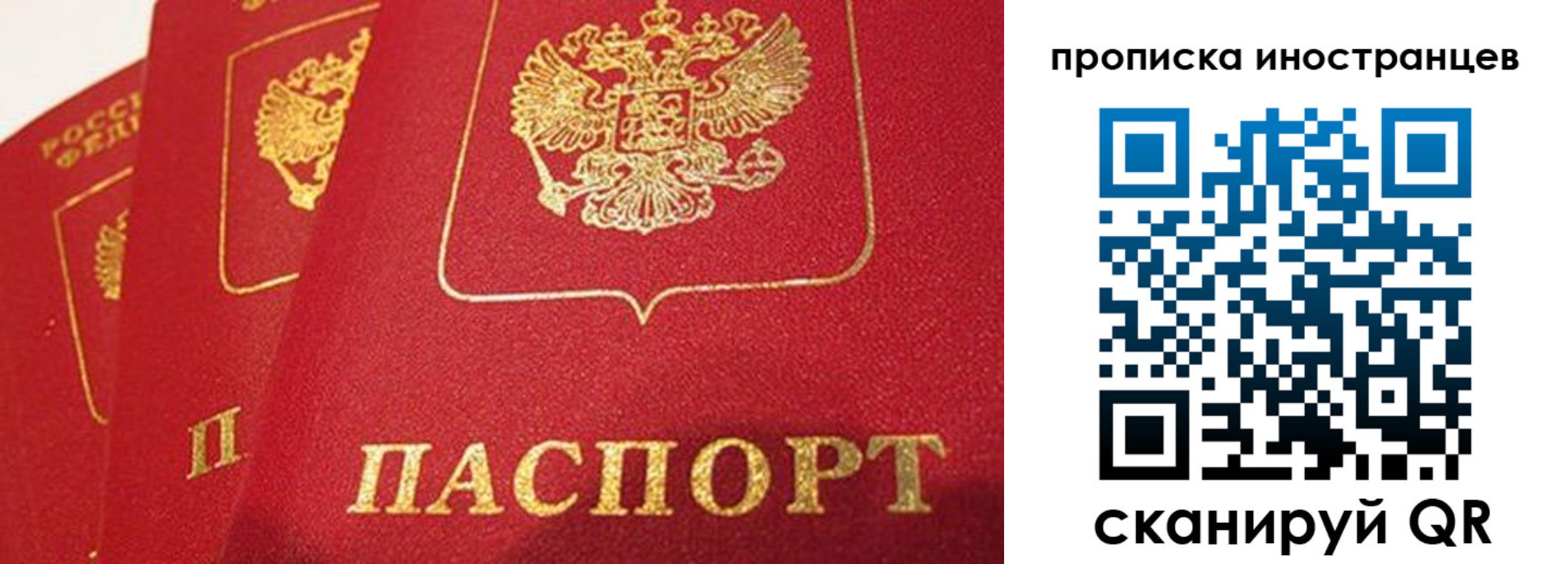 прописка поиск в Сухиничи